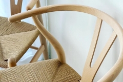 Carlhansen-ch24